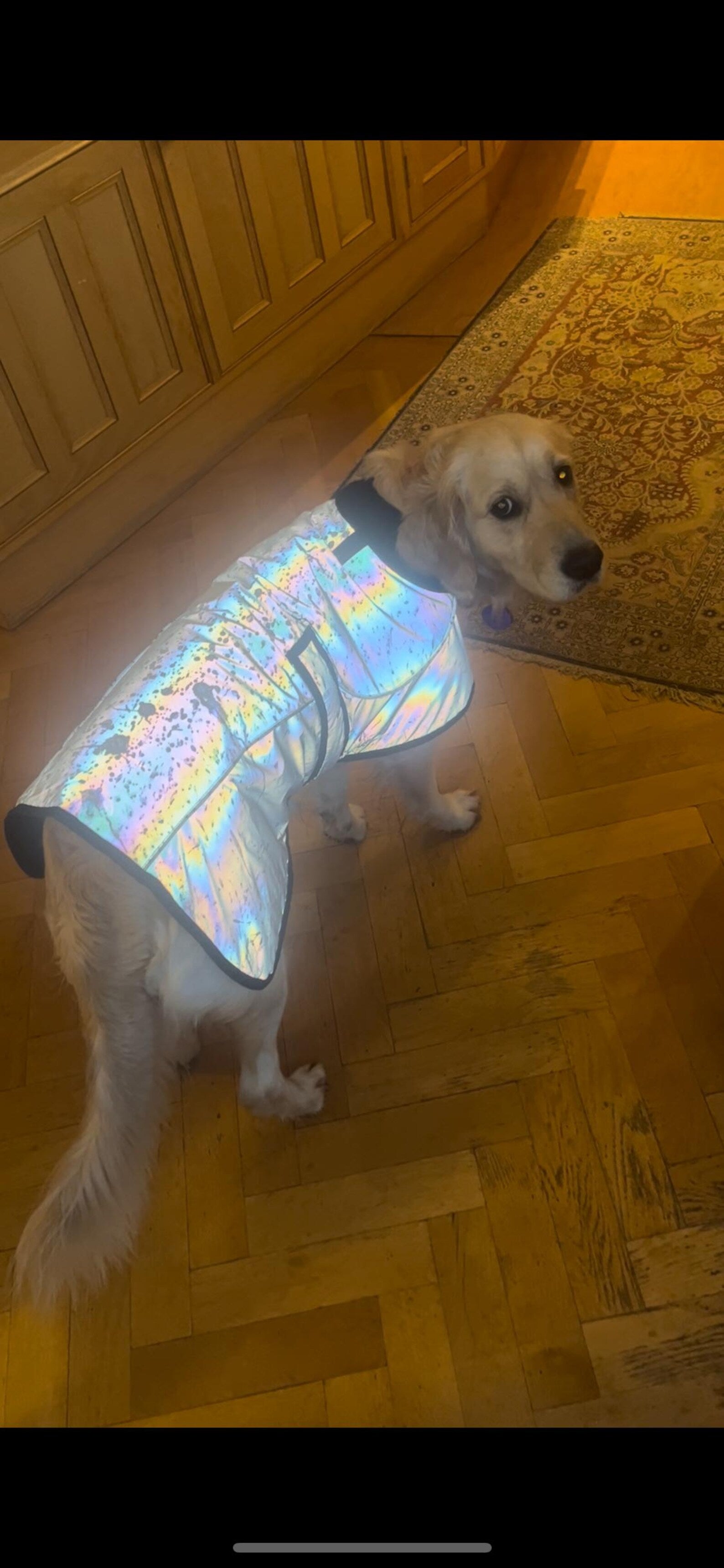 Black Reflective Waterproof Dog Coat: Fleece Lined, Harness Hole