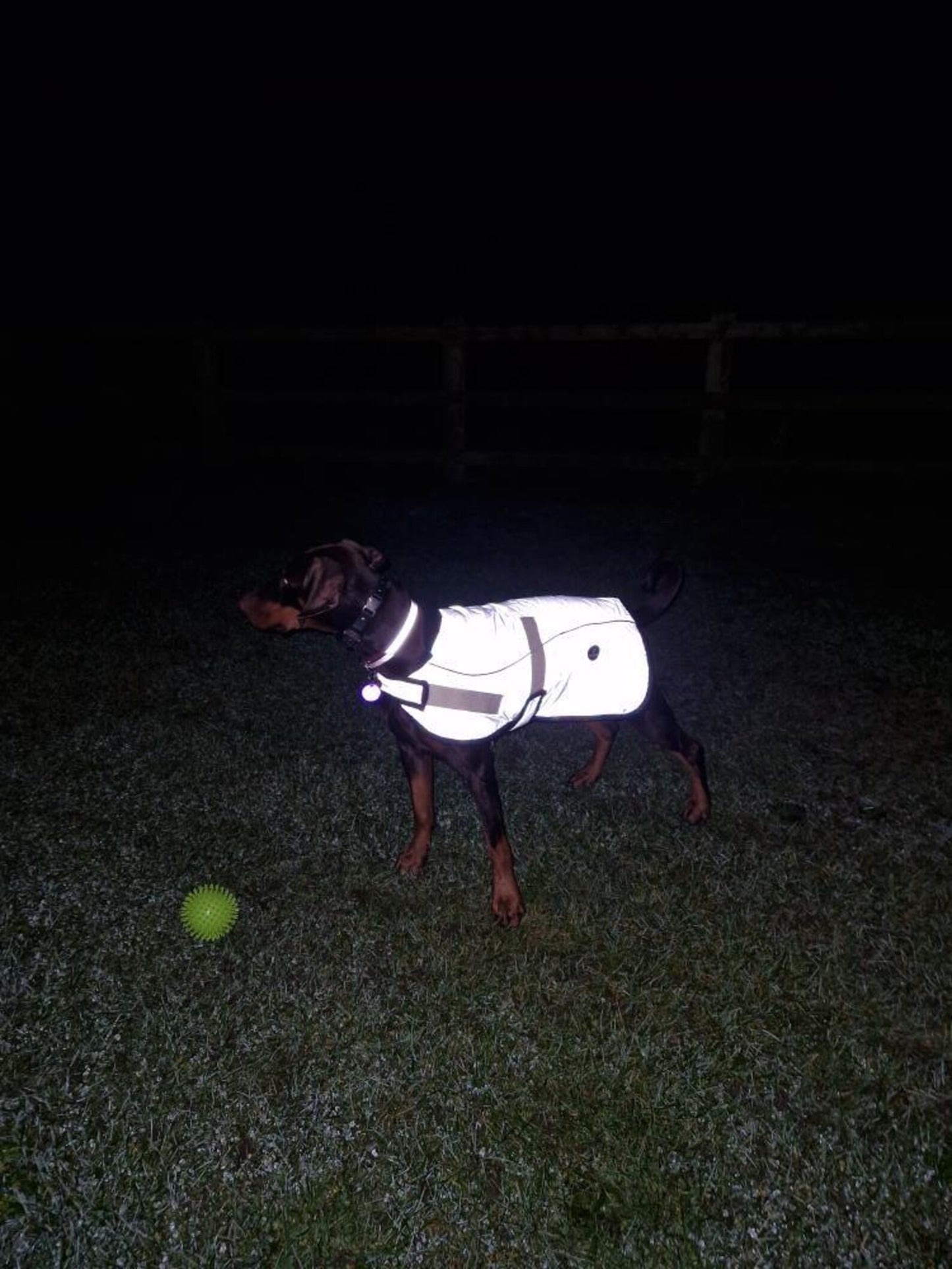 Black Reflective Waterproof Dog Coat: Fleece Lined, Harness Hole