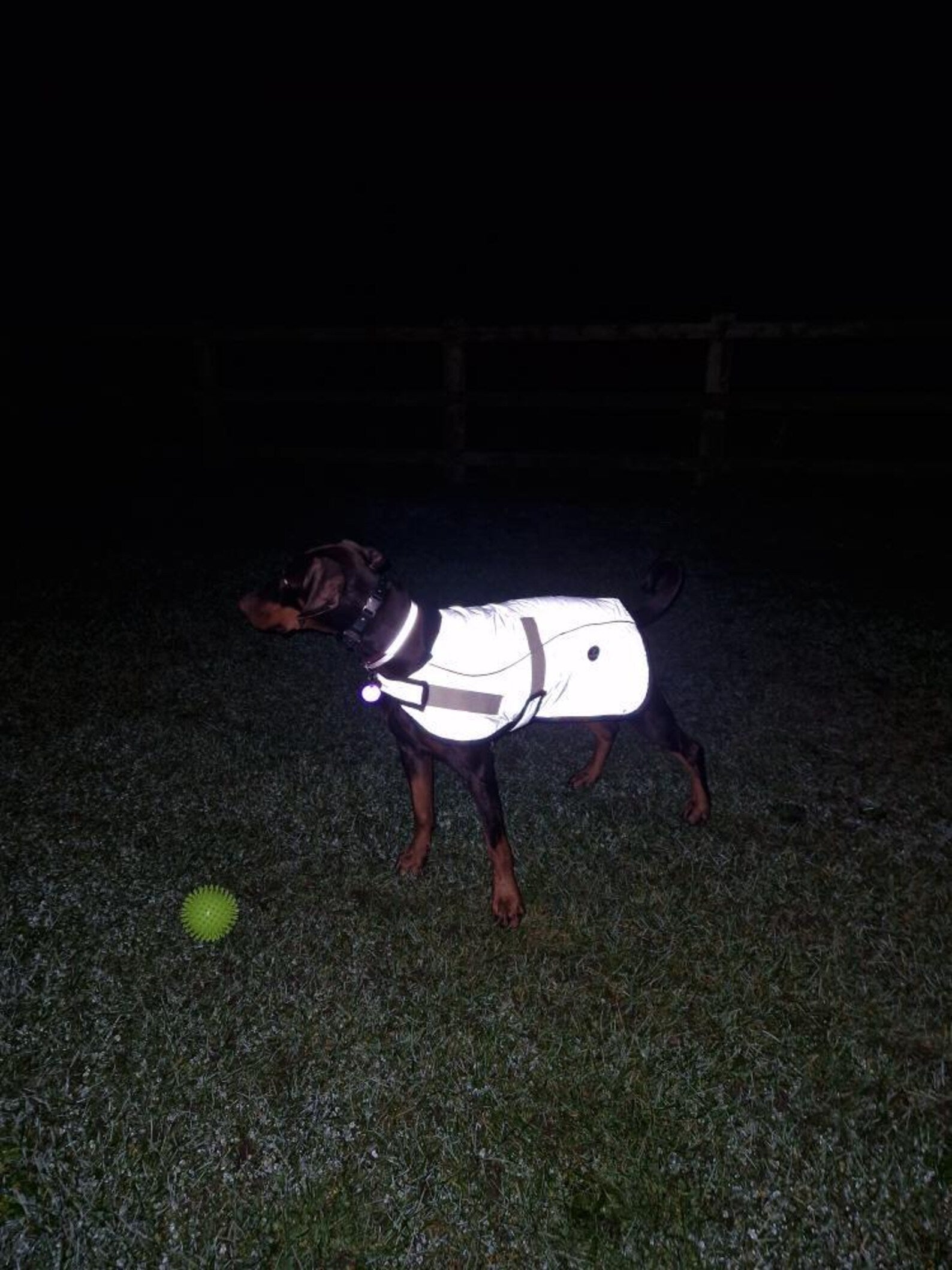 Black Reflective Waterproof Dog Coat: Fleece Lined, Harness Hole