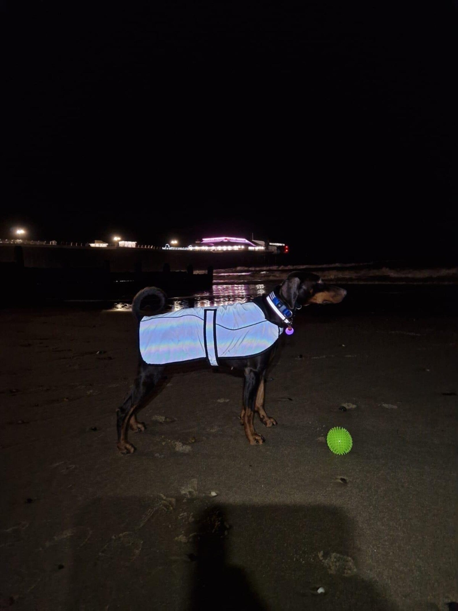 Black Reflective Waterproof Dog Coat: Fleece Lined, Harness Hole