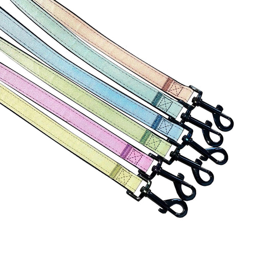 Reflective Dog Lead: Nylon Webbing with Padded Handle