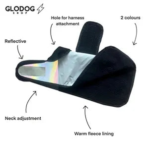GloDog dog product with features highlighted on a white background