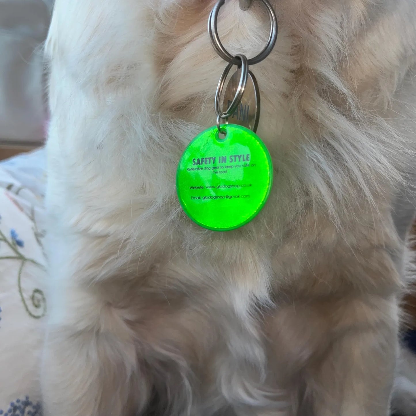Green Reflective Dog Tag Keychain – Glow-in-Dark Pet ID Charm, Clip-On Safety Tag for Dogs