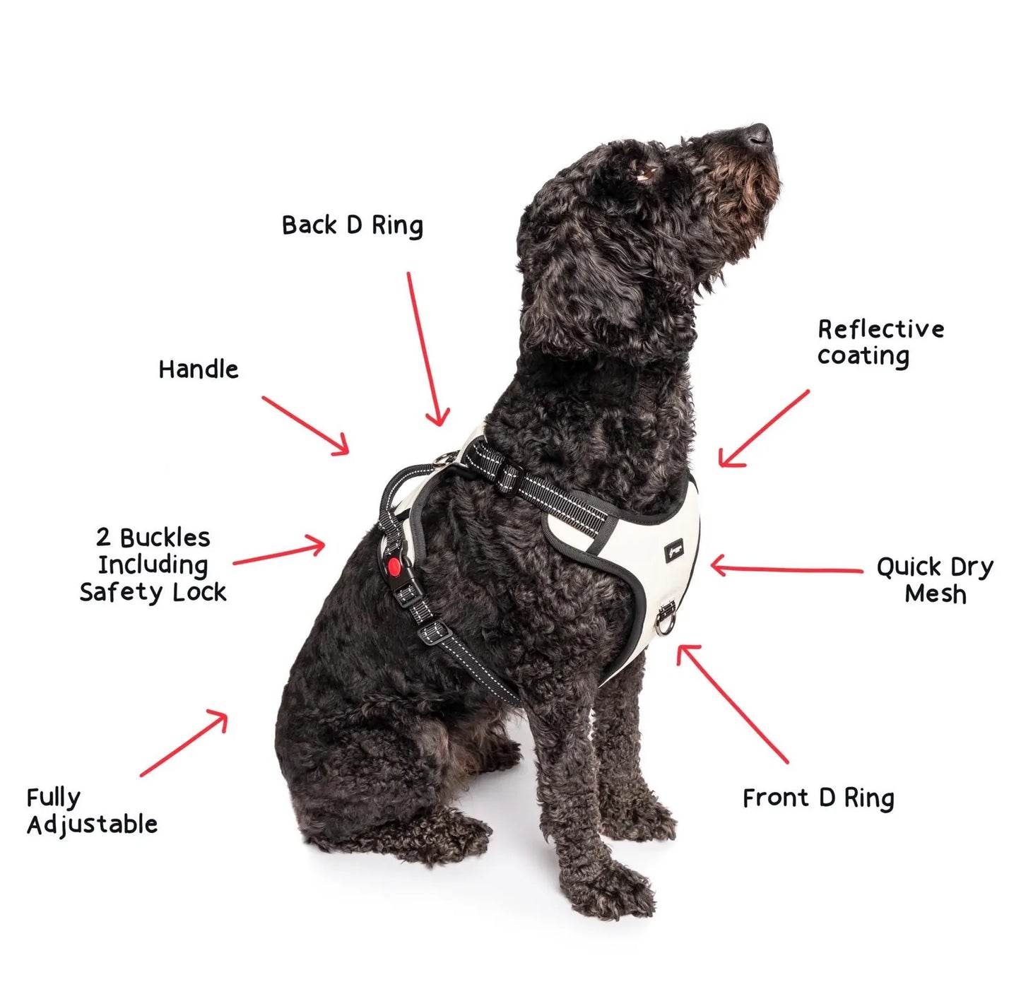 Harness features including, D-ring, Handle, Buckles, Safety locks, Adjustable, Reflective, Quick Dry