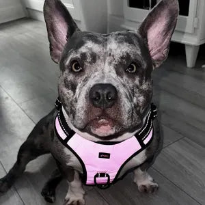 Pink Reflective No-Pull Dog Harness: Custom Color, Training Comfort
