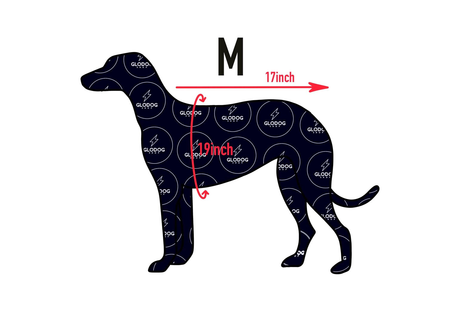 Measurement chart for a dog coat size M with dimensions labeled on a white background.