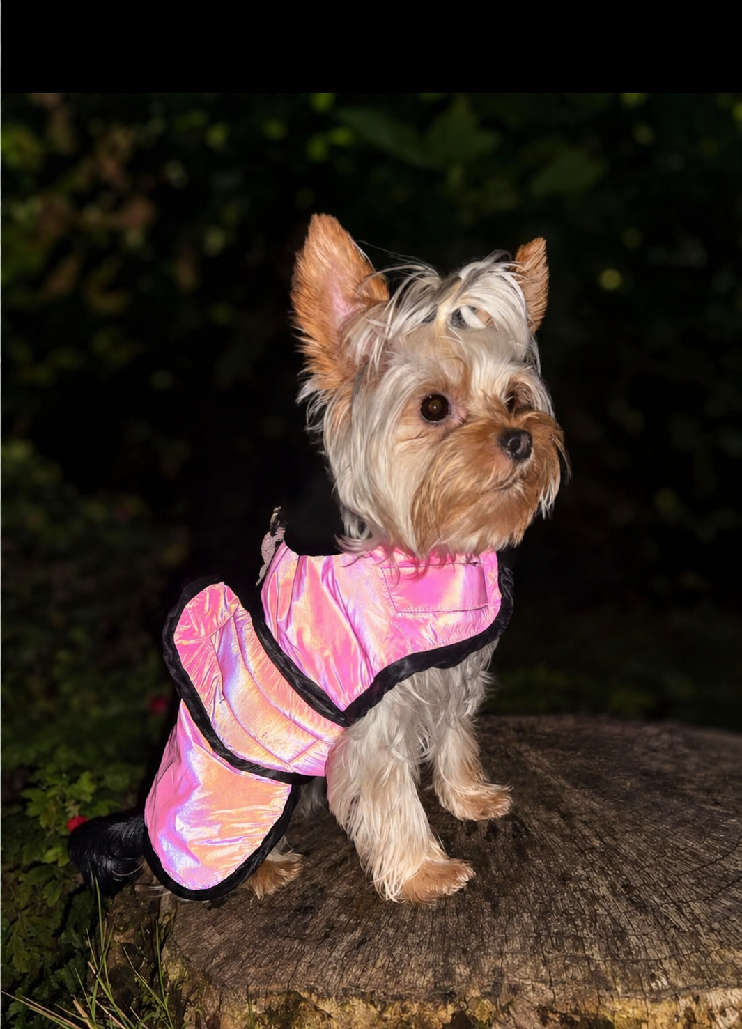 Pink Reflective Fleece Lined Waterproof Dog Coat