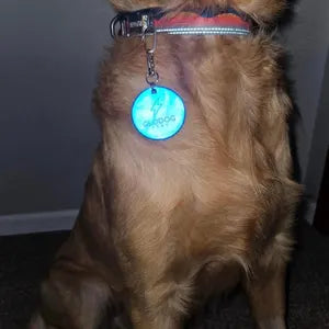Reflective Dog Tag - Clip