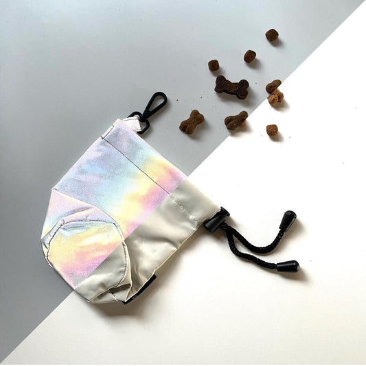 Reflective Dog Treat Pouch – Waterproof Training Treat Bag