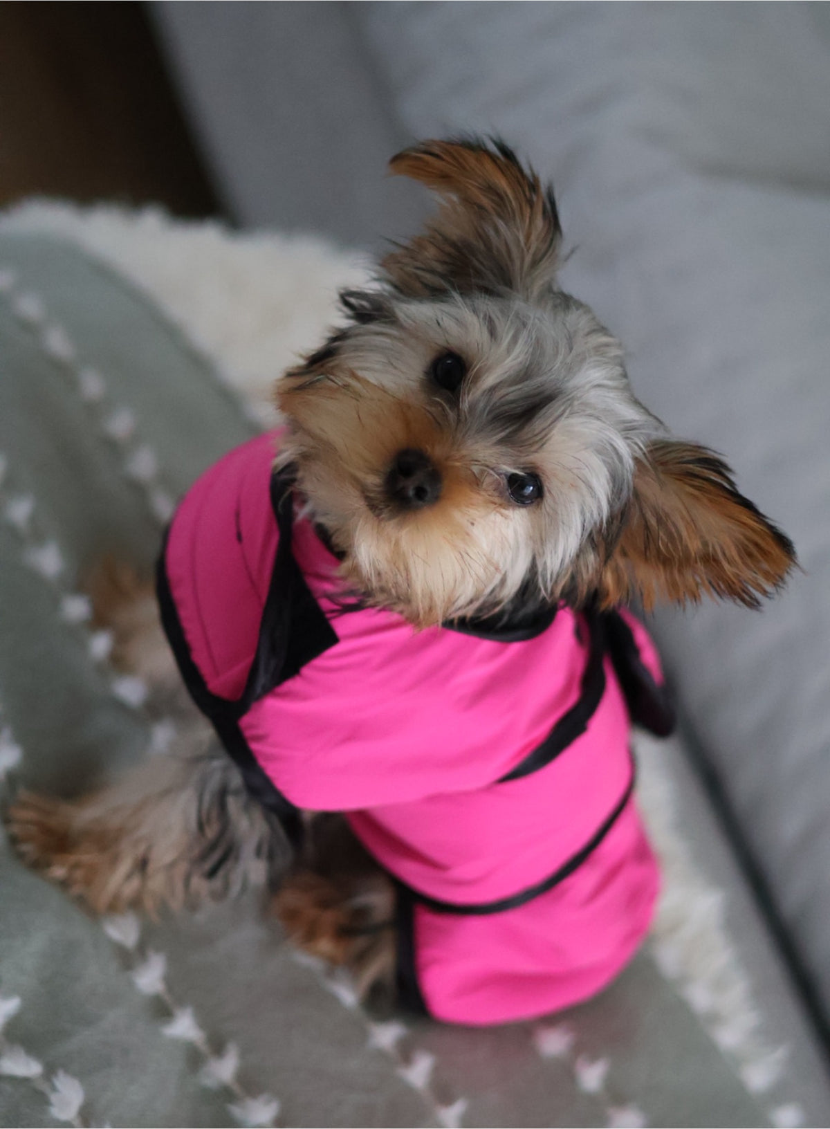 Pink Reflective Fleece Lined Waterproof Dog Coat