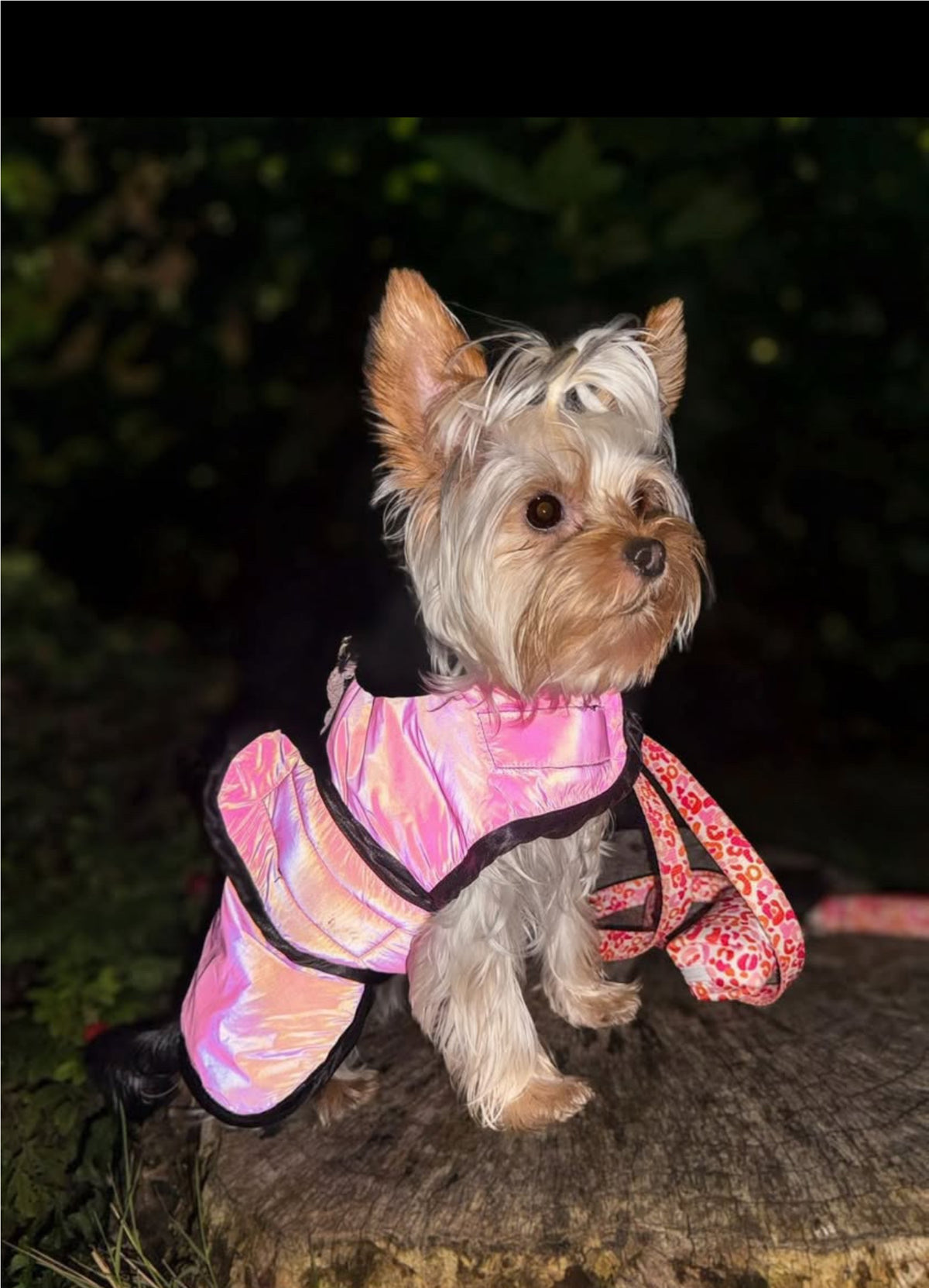 Pink Reflective Fleece Lined Waterproof Dog Coat