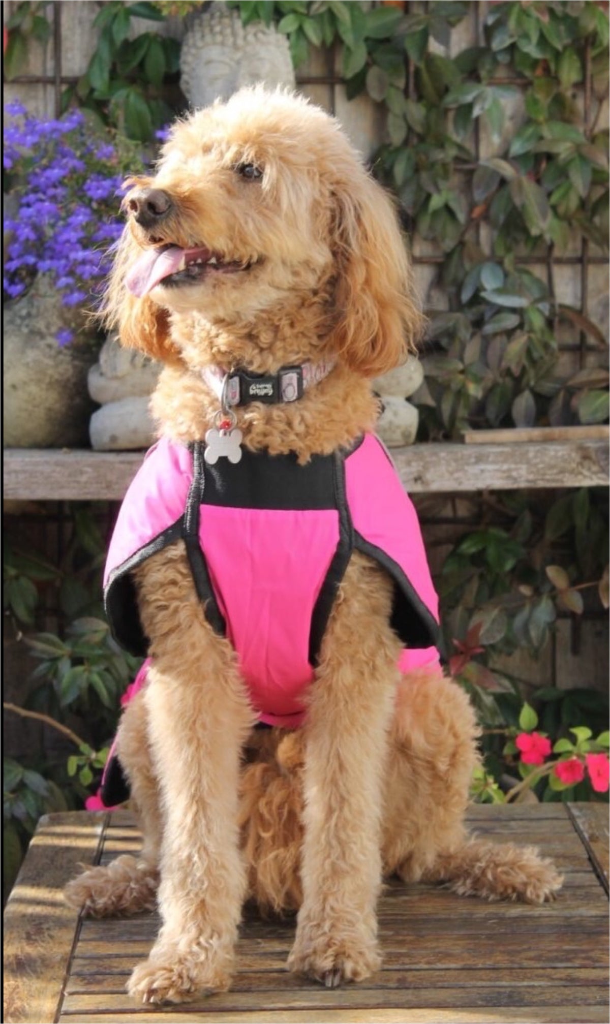 Pink Reflective Fleece Lined Waterproof Dog Coat