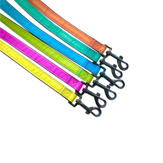 Reflective Dog Lead: Nylon Webbing with Padded Handle