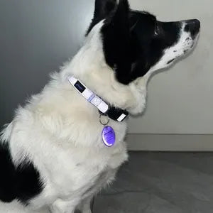 Reflective Dog Tag - Ring